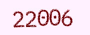 Security check